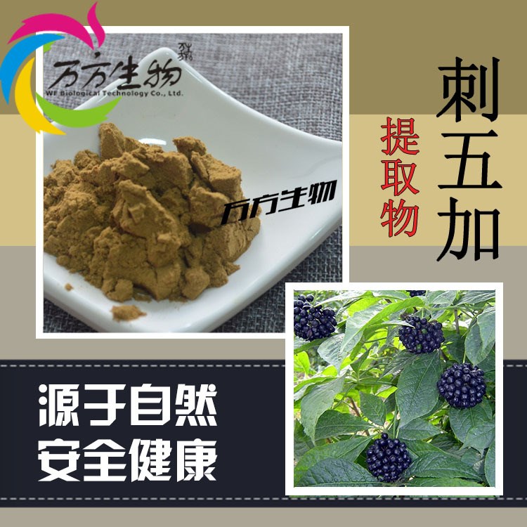 刺五加提取物 刺五加皂甙0.8% 五加皮原料粉 棕色粉末 現(xiàn)貨包郵