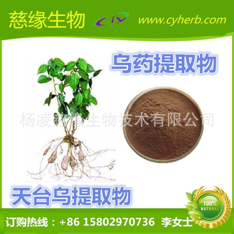 烏藥提取物 天臺烏提取物 包郵
