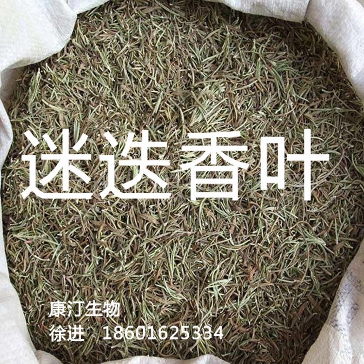 康汀生物供應 迷迭香酸2.5%-30%