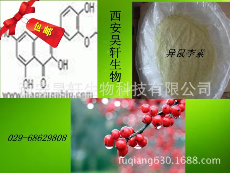 98%異鼠李素國內(nèi)植提生產(chǎn)商穩(wěn)定供，定制，量大價格優(yōu)惠