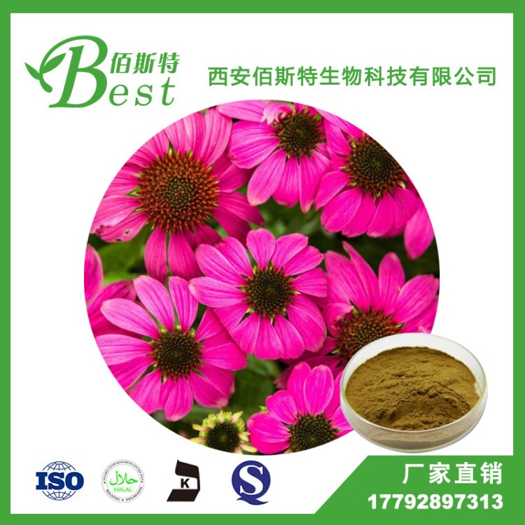 【現貨包郵】 紫錐菊多酚4% 紫錐菊提取物 質量 量大從優