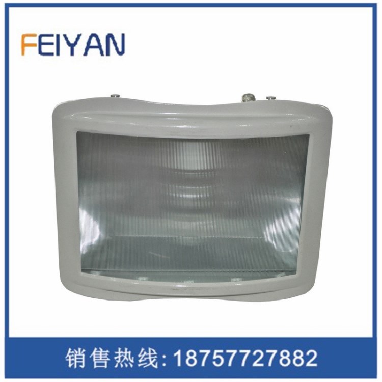防眩通路燈ZY8100廠家 ZY8100價(jià)格 供應(yīng)ZY8110A-J35