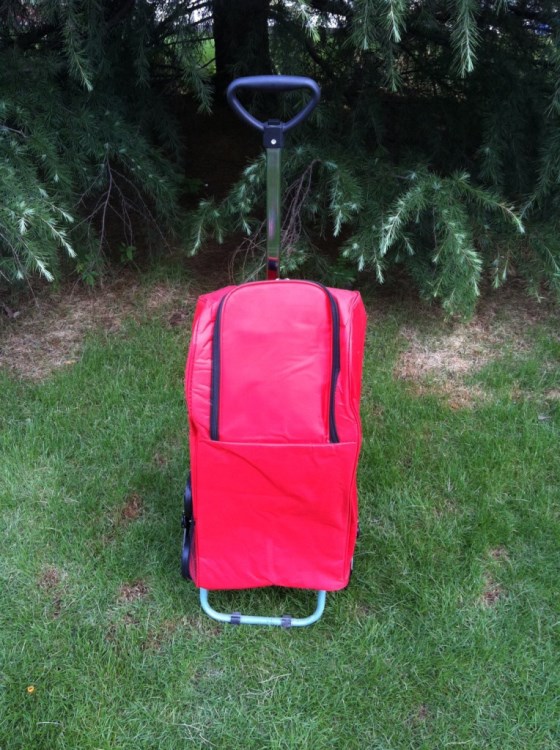 購物車 伸縮爬梯帶座椅購物車 便攜購物車 六輪購物車 廠家直銷