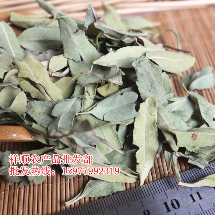 大量批發(fā) 大葉羅布麻茶 羅布麻葉子 各種規(guī)格小葉羅布麻 新疆貨