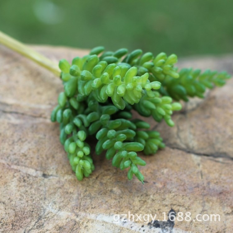 7頭果串 多肉仿真室內(nèi)植物墻 假花仿真花 微景觀相框植物配材