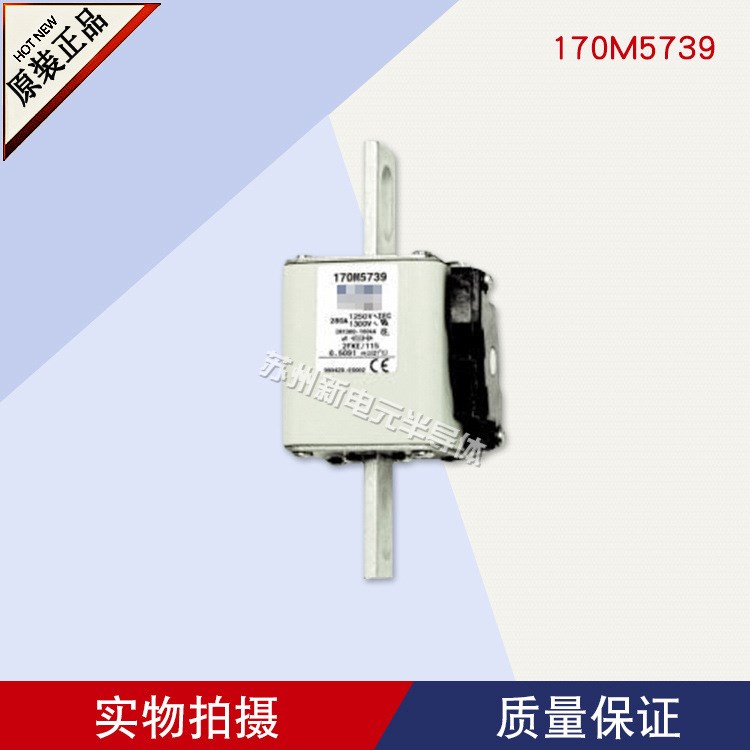 美國巴斯曼Bussmann快速熔斷器170M5739	1250V	280A原裝現貨