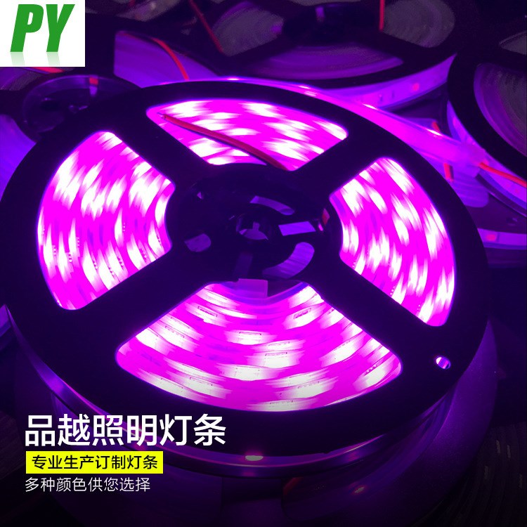 高品質(zhì)LED燈帶5050軟燈條一米30燈 60燈高亮12v  24v 5050軟燈帶