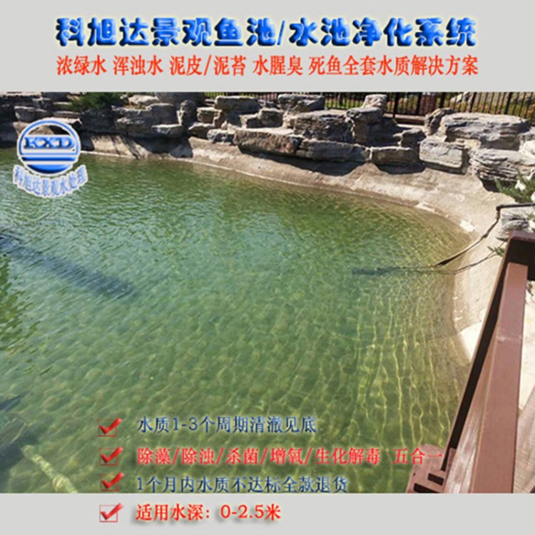 景觀水處理設(shè)備公司,錦鯉過濾呼和浩特300噸后花園魚池水凈化