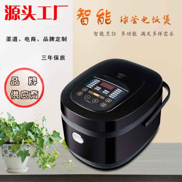 跨境 會(huì)銷禮品 5L智能電飯煲 家用多功能  迷你電飯鍋方煲