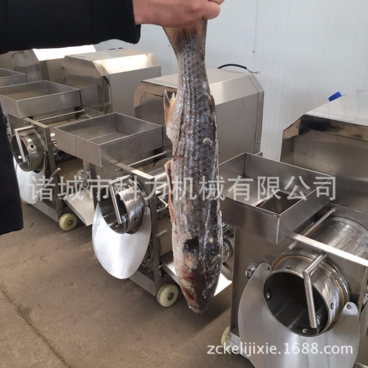 魚類采肉機(jī) 魚糜采集機(jī)、蝦殼分離機(jī)、去魚骨機(jī)、泥鰍采肉機(jī)d