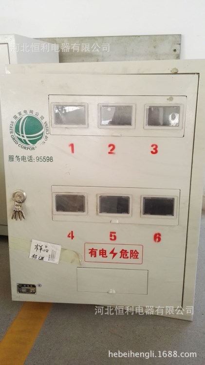 計量箱 電表箱 4戶6戶8戶10戶等 河北恒利電器有限公司生產(chǎn)