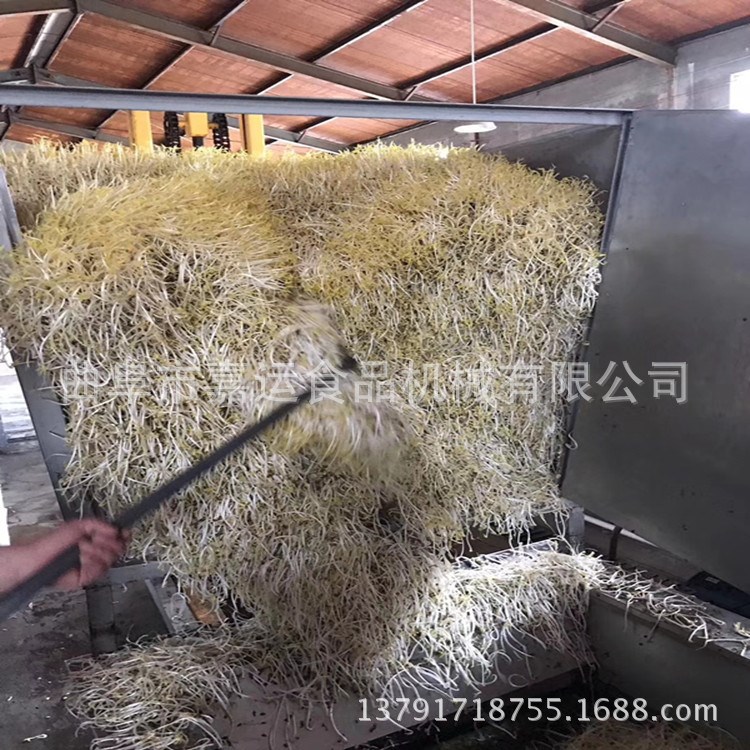 大量销售全自动豆芽机自动控温系统 菜市场用箱式发芽机