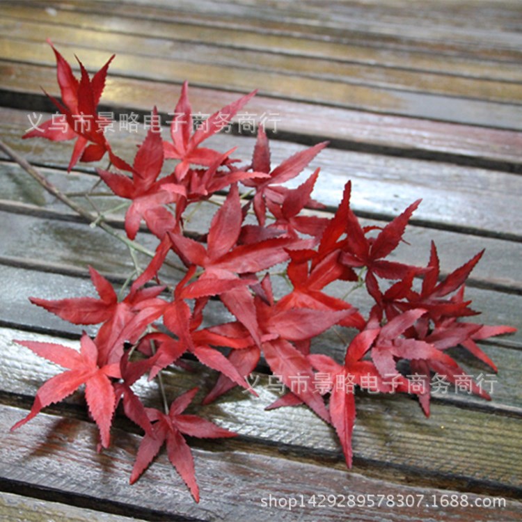 精品紅楓仿真樹(shù)葉秋楓葉家居田園花藝大樹(shù)裝飾楓樹(shù)葉雞爪楓五角楓