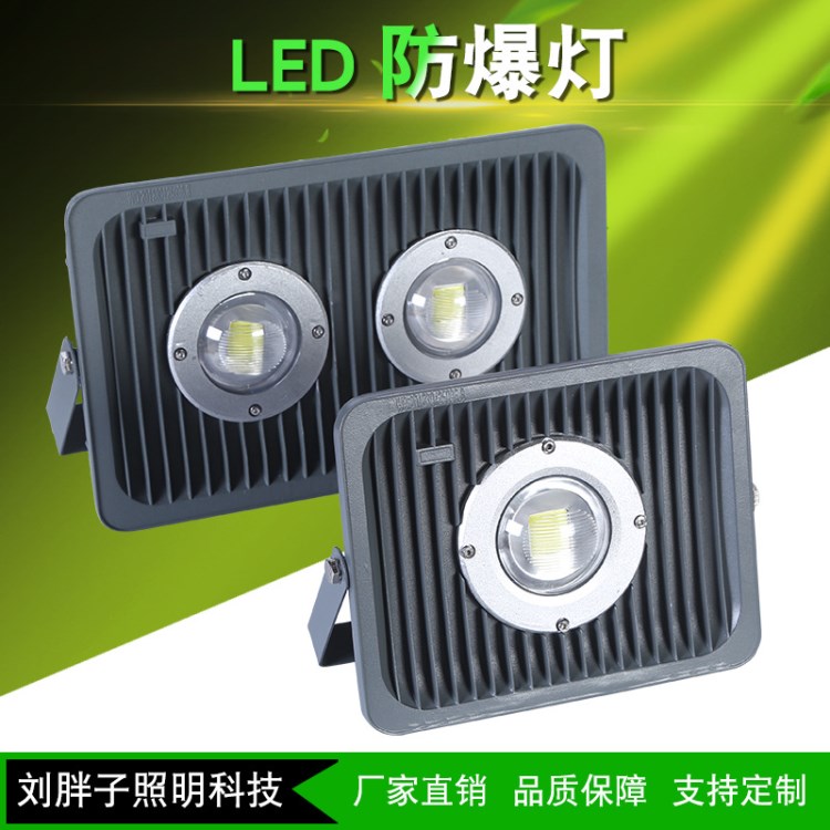 LED投光燈倉(cāng)庫(kù)照明防爆燈LED隧道燈50W100W150W戶外防水廠房燈