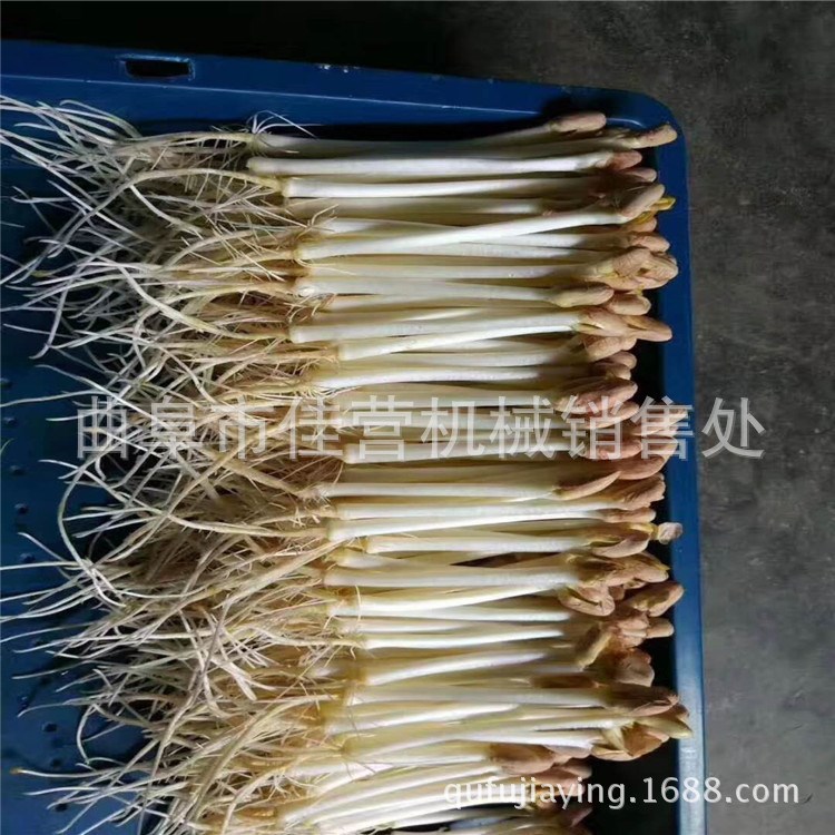 唐山地區生產全自動花生芽機的廠家 淋水豆芽機 多功能廂式芽苗機