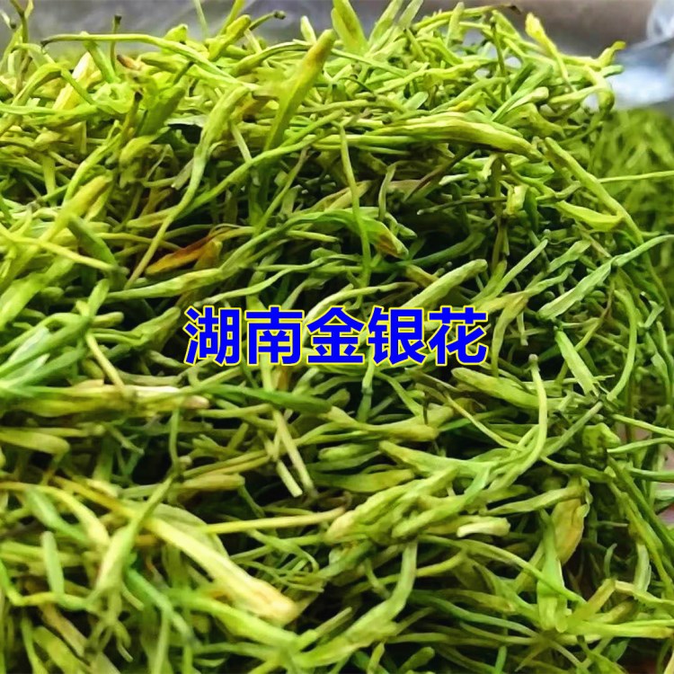 湖南金銀花批發(fā) 河南花 綠產(chǎn)品 雙花 花草茶 全國發(fā)貨