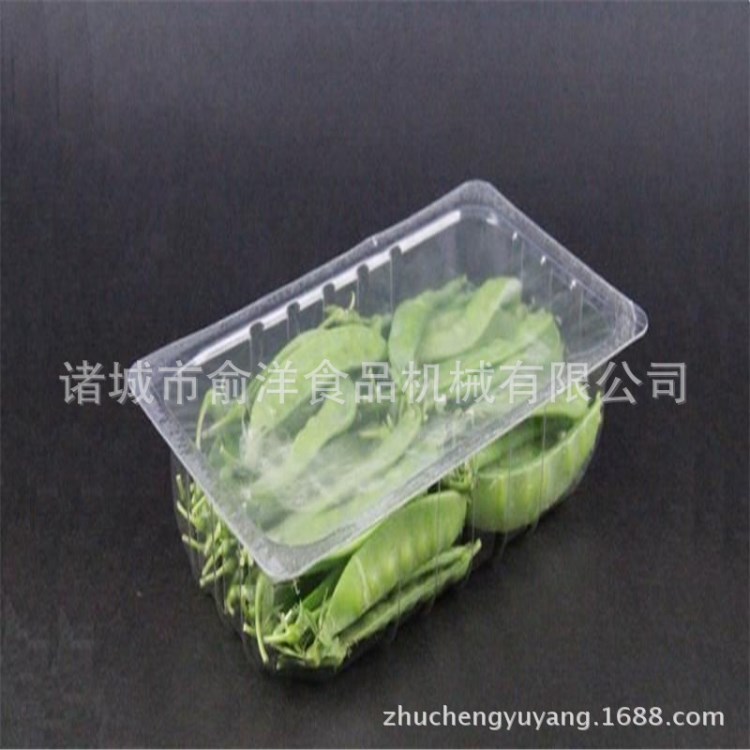 新鮮蔬菜水果野菜專用連續(xù)盒式氣調鎖鮮包裝機 充氣式包裝設備