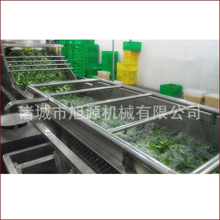 廠家直銷旭源氣泡沖浪噴淋式 鮮切蔬菜清洗機凈菜加工生產(chǎn)線