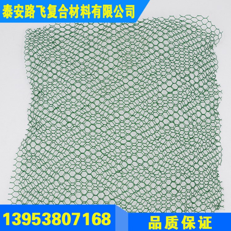 現(xiàn)貨供應(yīng)耐腐蝕   三維復(fù)合 排水網(wǎng) 經(jīng)久耐用 三維  復(fù)合  排水網(wǎng)
