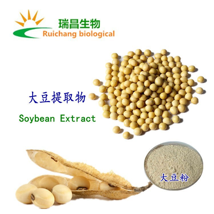 大豆蛋白粉大豆提取物大豆异黄酮20植物提取物大豆浓缩粉
