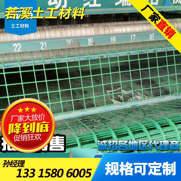 植物攀爬網 植物攀巖網 綠化邊坡掛網 塑鋼帶鋼絲綠化網 河北若溪