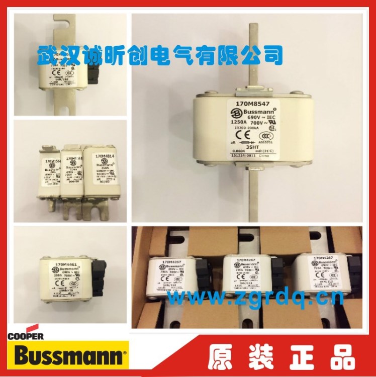 原裝 現貨美國BUSSMANN巴斯曼170M4802 1000V 20A快速熔斷器