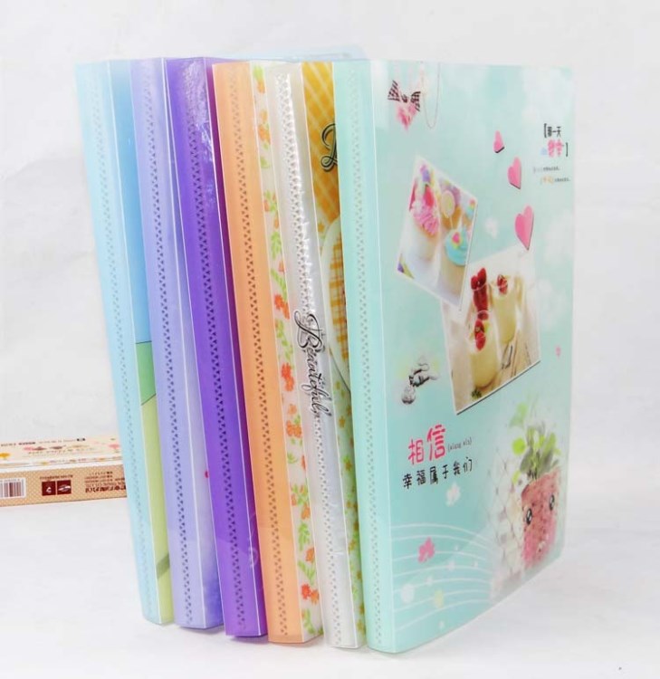 【低價定制】透明磨砂資料冊 文件整理冊 A4資料冊30頁