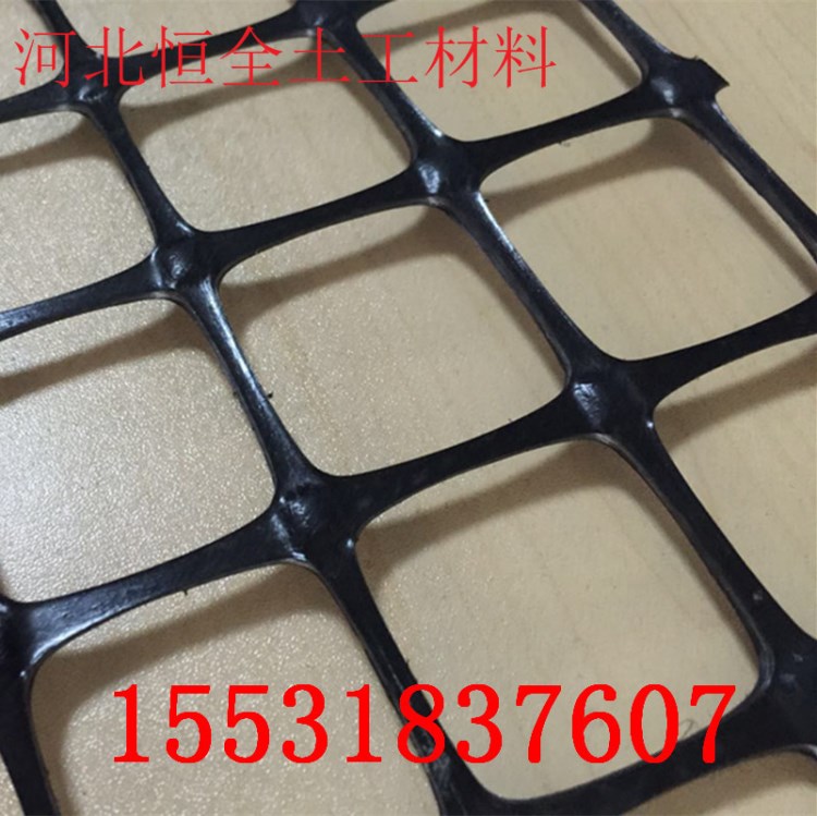 金昌市 耐高低溫塑料格柵 路基雙向格柵