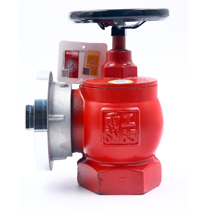 室内消火栓 sn65室内消火栓 dn65-1.6室内栓 消防栓国标淌消防栓