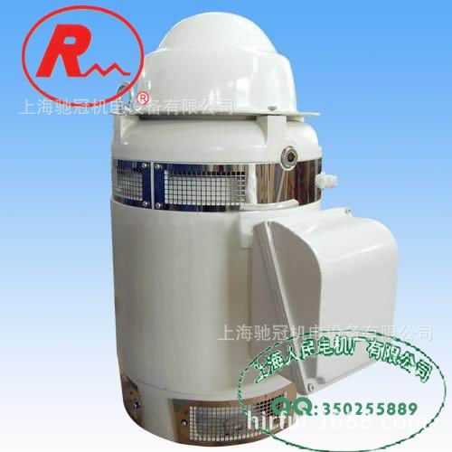 RM Vhs Series Vertical Shaft Turbine Pump Motor