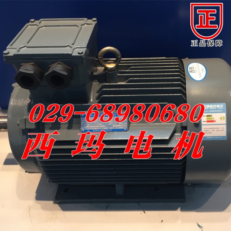全國(guó)現(xiàn)貨銷售YE3-280S-2 75KW拔絲機(jī)電機(jī) 安裝方式為立式或臥式