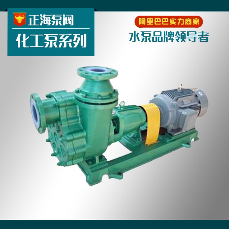 FZB型氟塑料自吸化工泵 高品質耐腐蝕液下泵【廠家直銷】