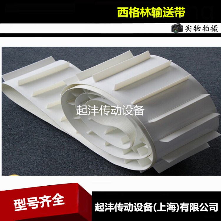 SIEGLING西格林食品輸送帶/藍(lán)色輸送帶/白色食品輸送帶