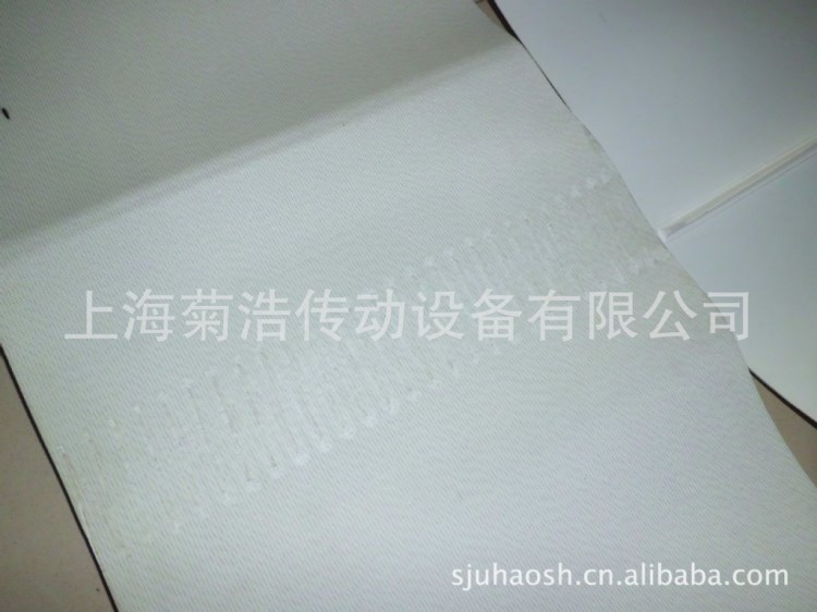 西格林品牌E12/2 U0/V/U2H MT抗靜電釋放性好運(yùn)輸帶