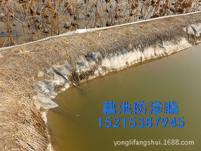 南寧藕池防滲膜/阻根防滲膜*廣西農(nóng)業(yè)種植膜廠家