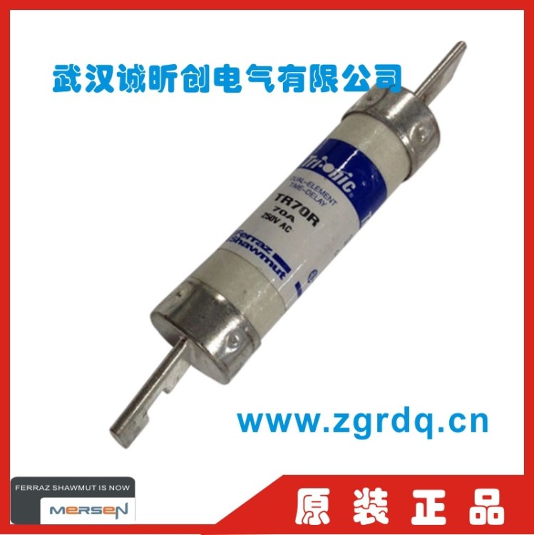 Ferraz Shawmut 延时熔断器保险丝TR70R  TR600 R14*51 250V