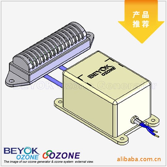 臭氧發(fā)生器FQA-100（集成環(huán)保灶消毒柜專用）