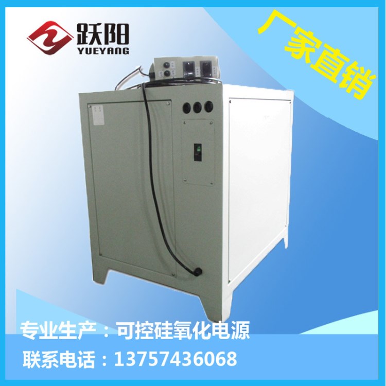 廠家 躍陽(yáng)可控硅氧化電源 高精度雙向脈沖疊加電源