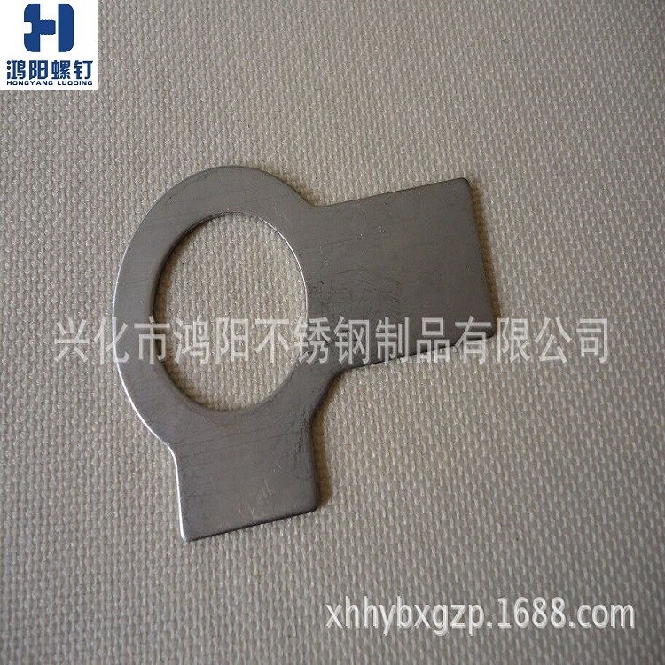 戴南廠家供應不銹鋼201 304材質 止舌墊片 雙耳止動墊圈