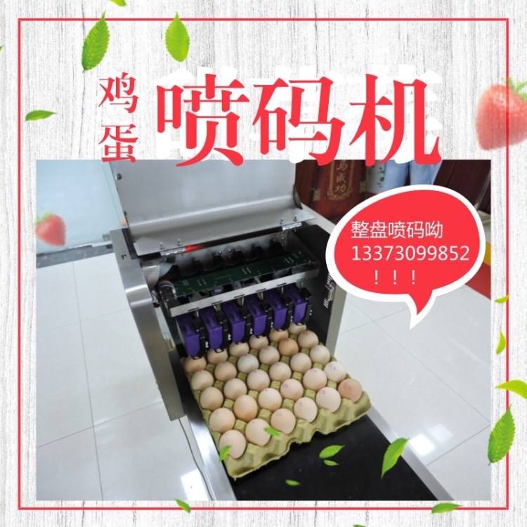 銀川雞蛋噴碼機(jī)廠家科力普科技直接供應(yīng)