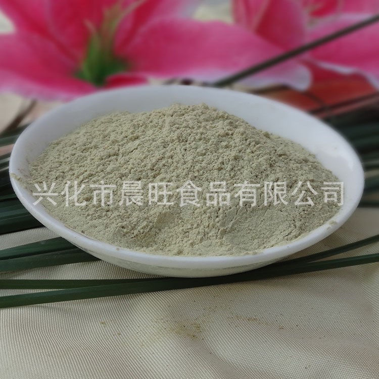 脫水蘆薈粉  適用于任何蘆薈類產(chǎn)品