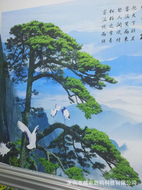 5D大型壁畫廣告彩繪機(jī)3D墻體彩繪 3D背景墻打印機(jī) 壁畫打印噴繪機(jī)