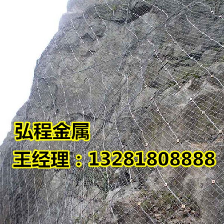 弘程sns主動防護網系統展示