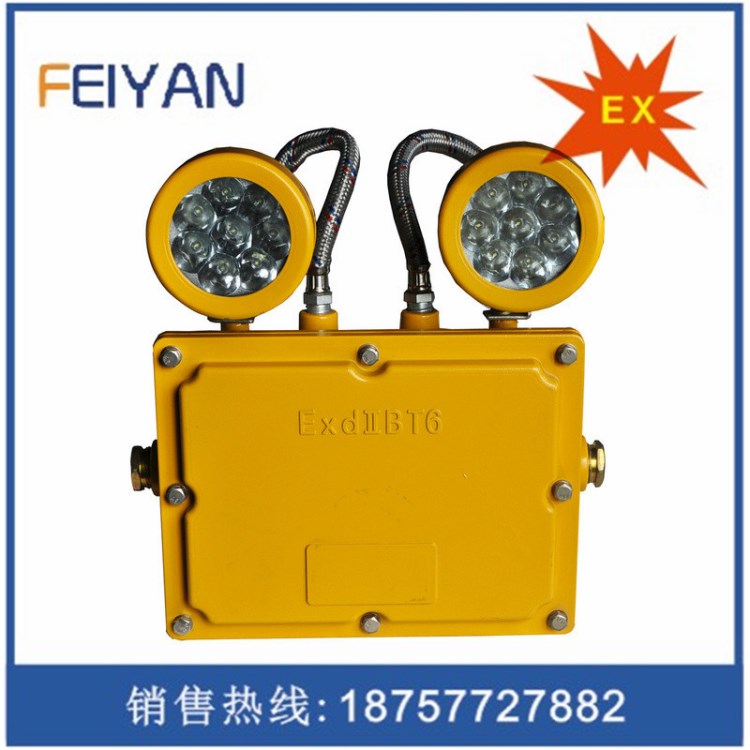 BXW6229節(jié)能防爆應(yīng)急工作燈 雙頭防爆應(yīng)急燈 LED防爆應(yīng)急燈