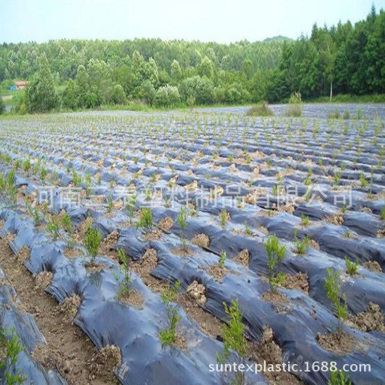 廠家直銷超薄黑色塑料pe地膜 除草塑料農膜 價格實惠農膜大棚膜