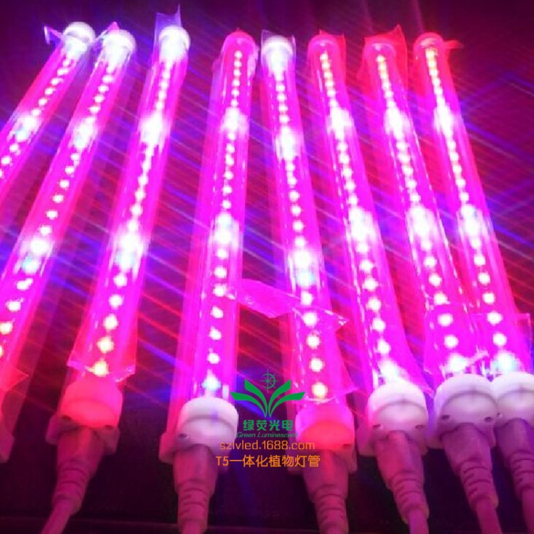 led植物燈 紅光630nm植物育苗燈 園藝花卉照明紅藍光配比補光燈