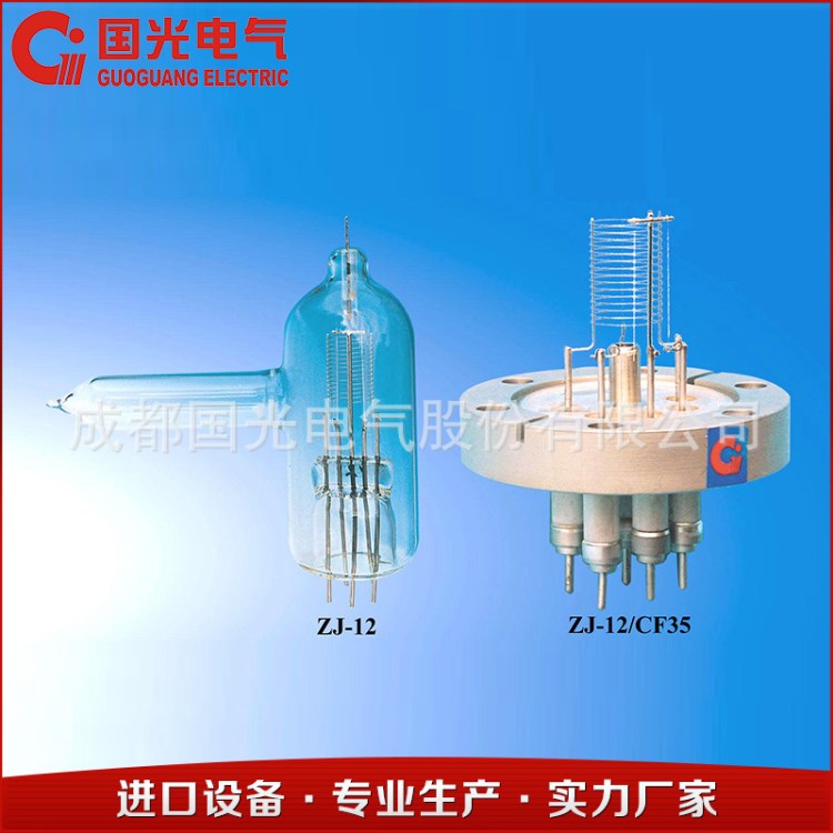 真空规管 ZJ-12超高真空热阴极电离规 真空计真空规管 厂家直销