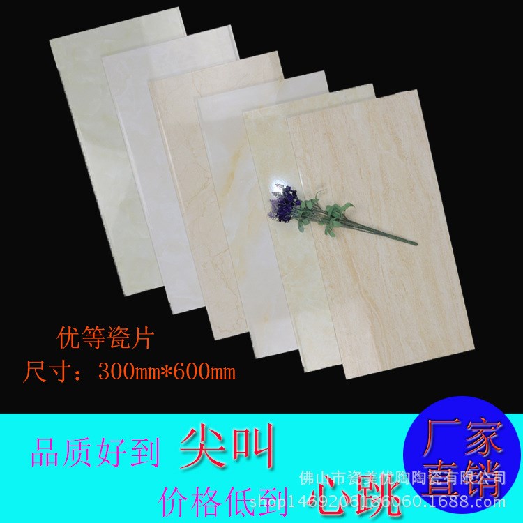 佛山 墻磚衛(wèi)生間廚房300x600釉面磚浴室瓷磚陽臺客廳防滑地磚