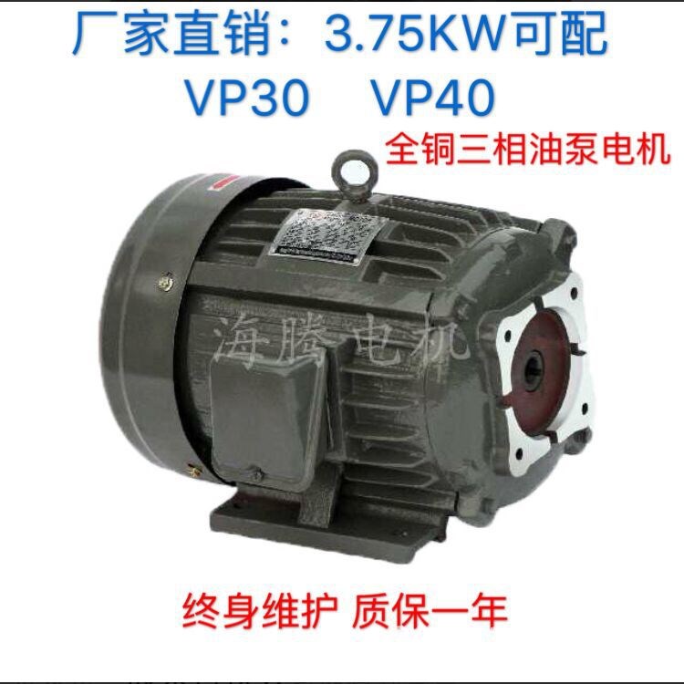 廠家供應油泵電機/油壓電機/液壓電機/內插式電機3KW 3.75KW 4HP