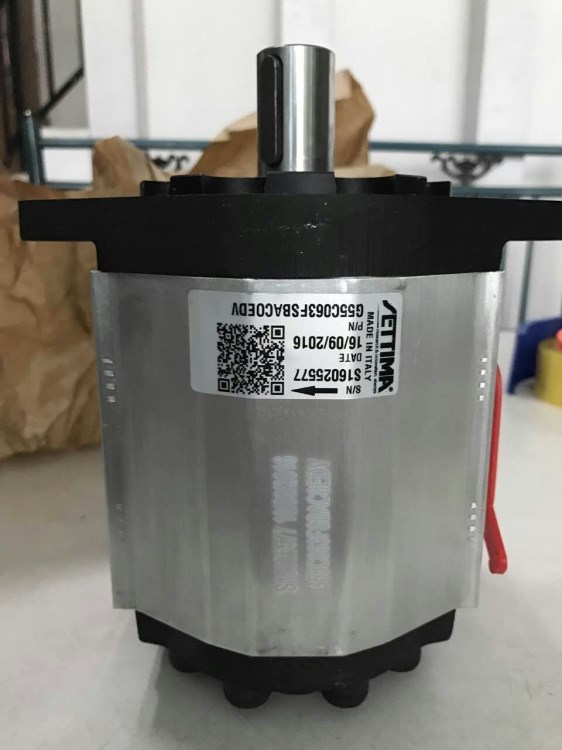 原裝意大利Settima螺桿泵 螺旋泵 注塑機 油壓機油泵GR47 2V 40cc